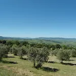 Manuela